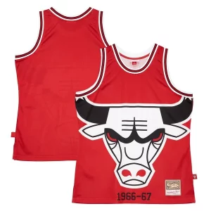 Fascinante Chicago Bulls Hardwood Classics Blown Out Fashion Jersey Red per i devoti sostenitori