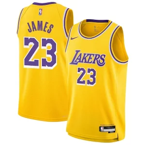 Delizioso LeBron James Los Angeles Lakers Nike Youth Swingman Jersey Icon Edition Gold per i devoti sostenitori
