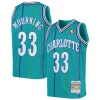 Resistente Accattivante Lussuoso Alonzo Mourning Charlotte Hornets Youth 1992/93 Hardwood Classics Swingman Jersey Teal per i devoti sostenitori