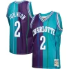 Bellissimo Larry Johnson Charlotte Hornets Hardwood Classics Split Swingman Jersey Teal/Purple per i devoti sostenitori